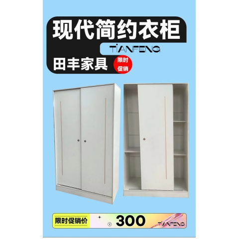 勝芳家具批發 衣柜 木質衣柜 兩開門衣柜 板式衣柜批發 兩開門衣柜 現代簡約衣柜 臥室家具 田豐家具