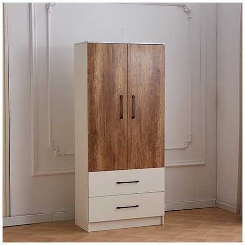 勝芳衣柜批發 小戶型小房間衣柜 家用臥室收納簡易兩門衣櫥 泰瑞家具