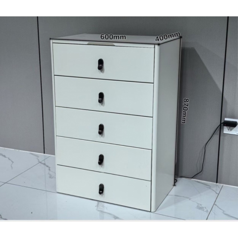 勝芳鞋柜批發 防塵鞋柜 玄關鞋柜 簡易鞋柜 多層鞋柜 儲物柜批發 斗柜 玄關家具 美典雅居家