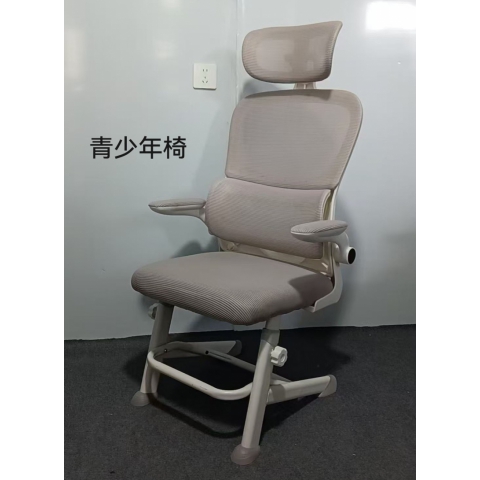 勝芳辦公椅批發(fā) 大班椅 弓形椅 轉(zhuǎn)椅  職員椅 會議椅 培訓(xùn)椅 員工椅 洽談椅 麻將椅 網(wǎng)椅 皮質(zhì)辦公椅 兒童矯正椅  辦公類家具 斯伯特椅業(yè)