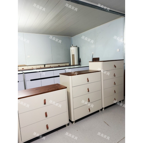 勝芳鞋柜批發 防塵鞋柜 玄關鞋柜 簡易鞋柜 多層鞋柜 儲物柜 玄關家具 晟森家具